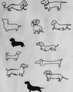 a bunch of dogs that are drawn in black and white