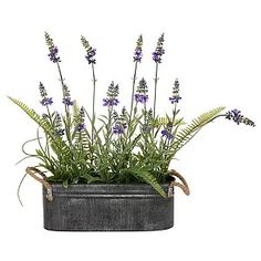 a potted plant with purple flowers in it