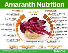 Amaranth | HerbaZest Amaranth Plant, Healthy Facts, Plant Health, Healing Food, Amaranth