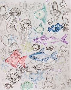 an image of children's drawing with fish and sea animals on it, all drawn in colored pencils