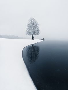 a lone tree sitting on top of a snow covered field next to a body of water