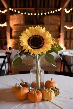 Autumn Elegance: 28 Breathtaking Fall Wedding Centerpieces • Fall Bridal Shower Centerpieces Simple, Fall Wedding Centerpiece Ideas, Fall Floral Centerpieces, Orchid Bouquet Wedding, Elegant Fall Wedding, Rectangle Tables, Pumpkin Vase, Forest Theme Wedding, Pumpkin Wedding