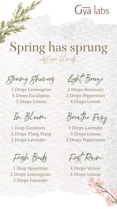 Dottera Diffuser Blends, Mood Boosting Diffuser Blends, Vanilla Diffuser Blends, Healthy Word, Spring Essential Oil Blends, House Perfume, Spring Diffuser Blends, Doterra Diffuser Blends, Essential Oil Combinations