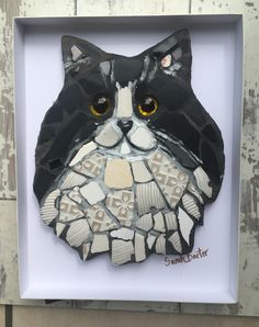 a black and white cat with yellow eyes is in a shadow box on the wall