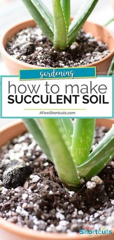 two potted plants with text overlay how to make succulent soil