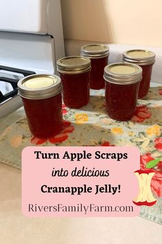 four jars filled with apple scraps sitting on top of a rug next to an oven