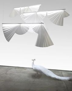 a white peacock is standing in front of some hanging lights that are suspended from the ceiling