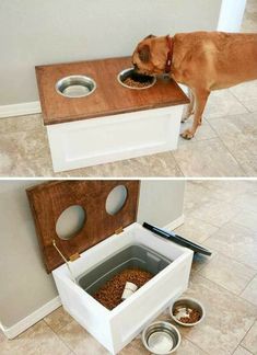 the dog is eating out of his food bowl