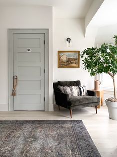 a living room with a couch, chair and potted plant