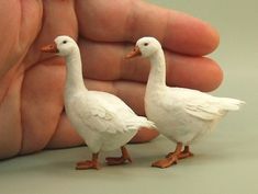 two small white ducks standing next to each other in front of a person's hand