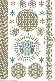 the flower of life pattern is shown in brown and blue