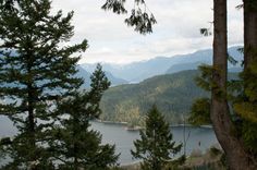 trees and mountains are in the distance with a body of water behind them on a cloudy day