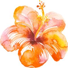 a watercolor painting of a flower on a white background with orange and pink colors