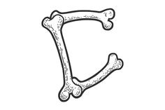 the letter d is made up of bones