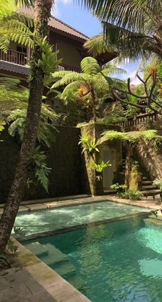 an outdoor swimming pool surrounded by palm trees and other greenery on the side of a house