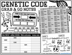 an image of a graphic sheet with some words and symbols on it, including the word's name