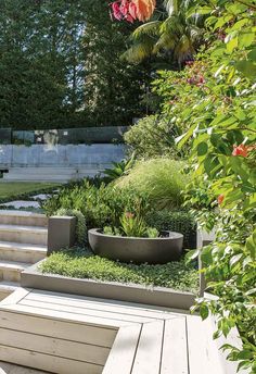 an outdoor garden with steps and plants