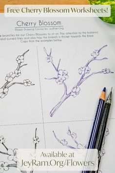 the cherry blossom worksheet is shown with two pencils