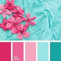 some pink flowers are in the middle of a color palette with blue and green colors