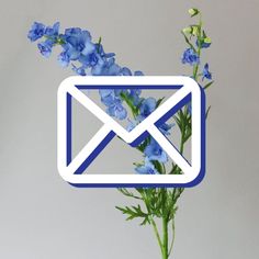 a vase with blue flowers and an email sign