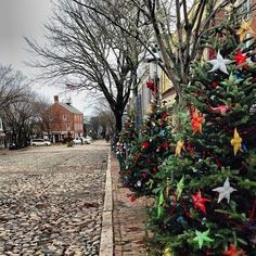 christmas trees are lined up along the street in front of brick buildings on a cobblestone sidewalk