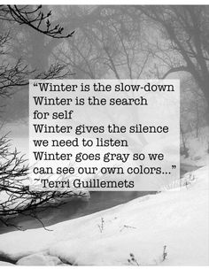 a black and white photo with the quote winter is the slow - down winter is the search for self