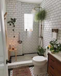 a white toilet sitting next to a shower in a bathroom