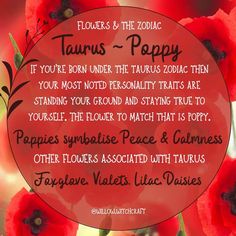 flowers and the zodiac taurus - poppy poem on a red circle with black lettering