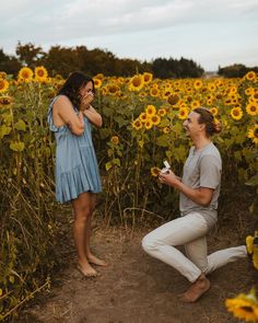 a man kneeling down next to a woman in a field of sunflowers