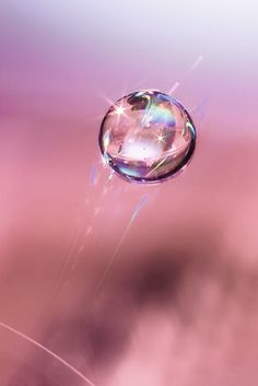 a drop of water that is floating in the air on a pink and purple background