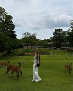 a woman is standing in the grass with several deer behind her and pointing at something