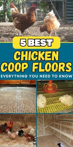 chicken coops with the words 5 best chicken coop floors everything you need to know