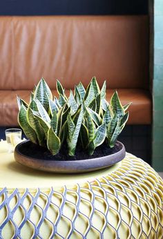 a potted plant sitting on top of a yellow table next to a brown leather couch