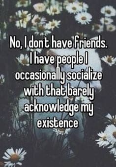 the words no i don't have friends i have people occasionally socialize with that barely