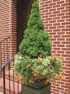 a potted planter with flowers in front of a brick building