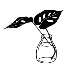 a black and white drawing of a plant in a vase with water on the side