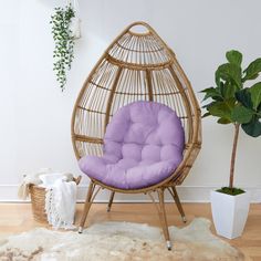 a rattan chair with a red cushion in front of a white wall and potted plant