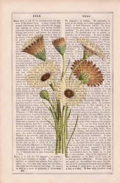 an old book page with flowers on it