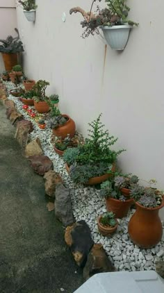 there are many potted plants lined up on the side of this building, along with rocks and gravel