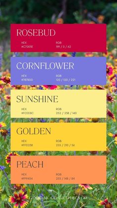 flowers with different colors and names in the same color scheme for each flower, including red, yellow, blue, pink, orange