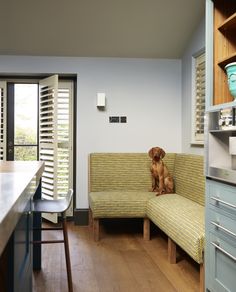 a brown dog sitting on top of a couch in a living room next to a kitchen