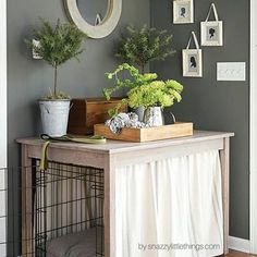 a dog house with plants and pictures on the wall