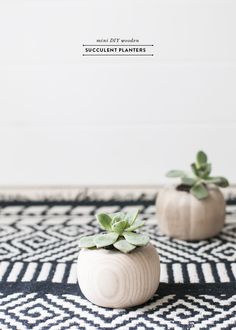 two white ceramic planters sitting on top of a black and white rug with succulents in them