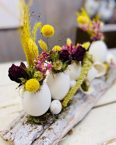 flowers and eggs are arranged on a piece of wood