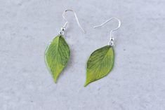 Bring a little bit of nature to your ears with these Hoya Polyneura Plant Earrings! Handcrafted in Cleveland, Ohio, they feature resin-covered paper leaves that look so realistic, you'll swear you can hear them rustling in a gentle breeze. Adorned with hypoallergenic sterling silver hooks, these leaf earrings make the perfect gift for any plant lover in your life. Now get out there and show off your green thumb! Nature-inspired Leaf Earrings For Everyday, Green Nature-inspired Everyday Earrings, Everyday Green Nature-inspired Earrings, Hoya Polyneura, Plant Earrings, Paper Leaves, Cleveland Ohio, Fantasy Clothing, Brass Earrings