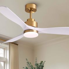 a ceiling fan with white blades hanging from the ceiling in a room next to a potted plant