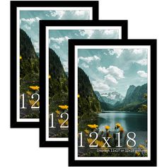 three framed photos with the numbers twelve and twenty on them, each displaying flowers in front of a mountain lake