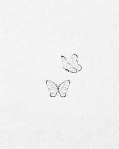 two butterflies are flying in the air