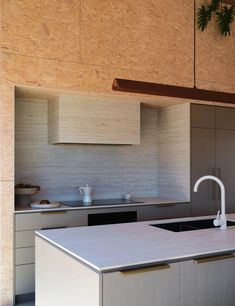 a kitchen with an island sink and counter top next to a plant hanging from the ceiling