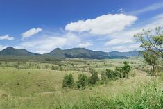 a field with mountains in the distance and trees on the other side that is surrounded by grass